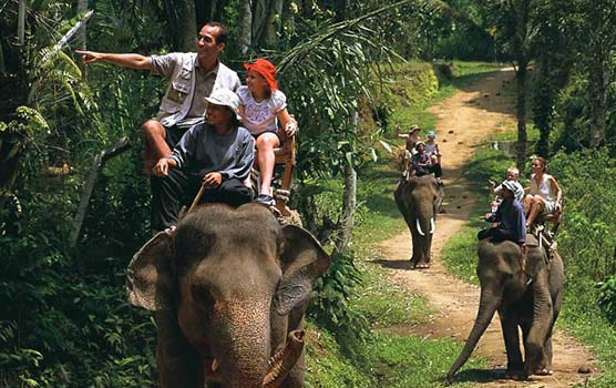 Read more about the article Elephant Ride and Uluwatu Tour