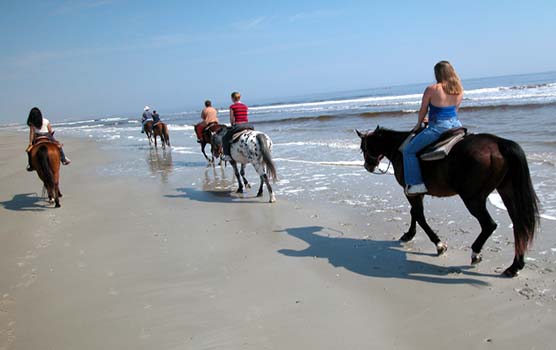 Read more about the article Horse Riding and Kintamani Tour