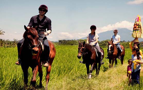 Read more about the article Horse Riding and Uluwatu Tour